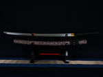 Elegance of Kana