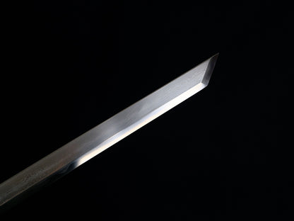 Master’s Work—Tang DaoYunlong